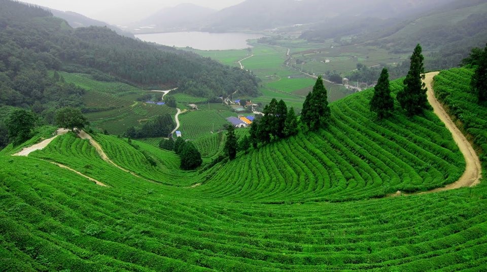 Сельскохозяйственная земля на продажу в Анталии Турция подходит для инвестиций