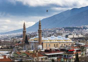 Bursa